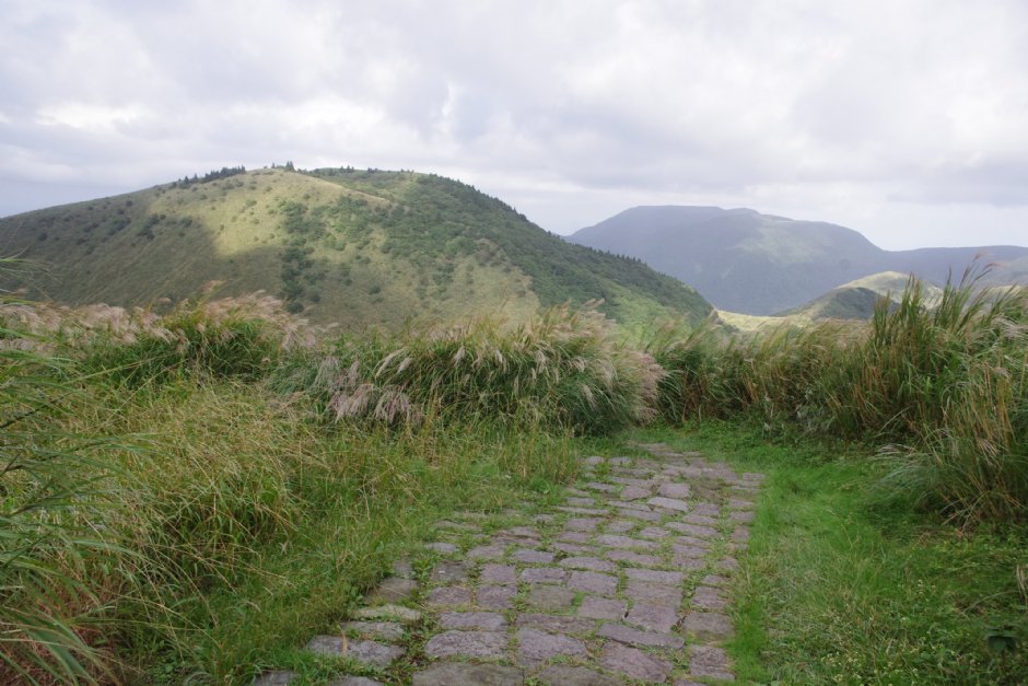 七星山東峰步道 攝影：Eva隨手拍