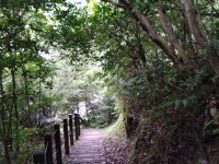 賞瀑步道<br/> 攝影：Lu