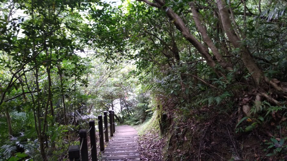 賞瀑步道 攝影：Lu