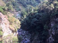 八仙山國家森林遊樂區<br/> 攝影：Rony