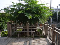 高雄武德殿<br/> 攝影：旅遊王攝影組