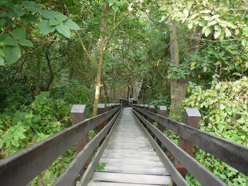 漯底山自然公園 攝影：三井