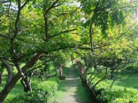 瓊麻工業歷史展示區<br/> 攝影：Eva隨手拍