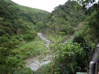 雙流國家森林遊樂區<br/> 攝影：三井