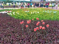 江翠礫間水岸公園<br/> 攝影：Eva隨手拍
