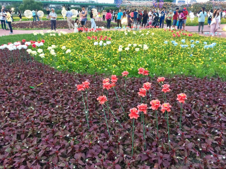 江翠礫間水岸公園 攝影：Eva隨手拍