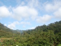 附近的光明禪寺<br/> 攝影：三才靈芝礦石有機生態休閒農場