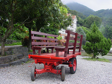 鄉村牛車 攝影：蔣玉祺