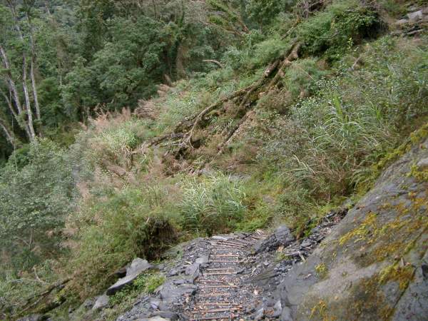 步道景色 攝影：老山羊