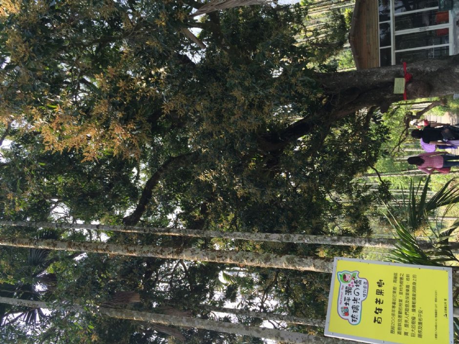 坪瀨風景區 攝影：旅遊王攝影組