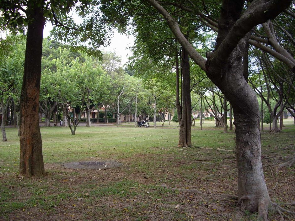 美式住宅區風景 攝影：老山羊部落格
