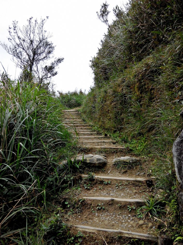 聖母登山步道 攝影：Lu