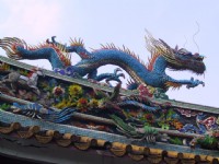 龙<br/> 摄影：kavin