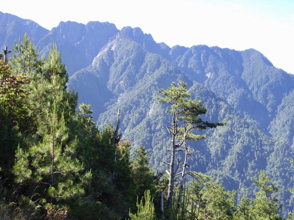 南玉山稜脊 攝影：老山羊部落格