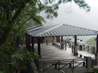 大板根森林遊樂區