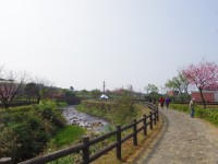 大坑溪三生步道<br/> 攝影：Eva隨手拍