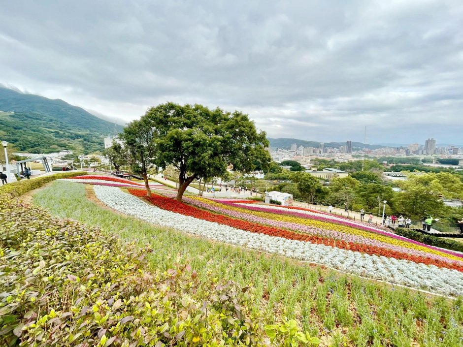 北投社三層崎公園大片花海被譽為台版富良野 攝影：Eva隨手拍