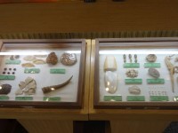 立康中草藥產業文化館<br/> 攝影：立康中草藥產業文化館