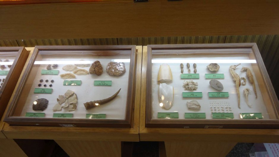 立康中草藥產業文化館 攝影：立康中草藥產業文化館
