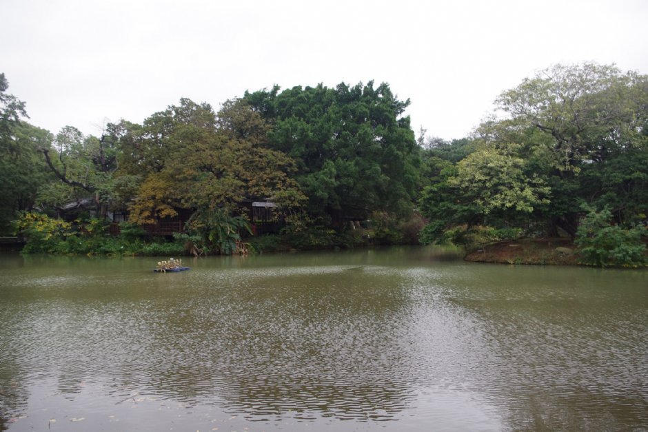 新竹公園 攝影：Eva隨手拍