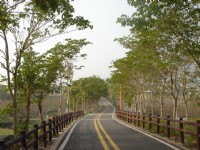 綠意叢生的自行車道<br/> 攝影：陳美吟