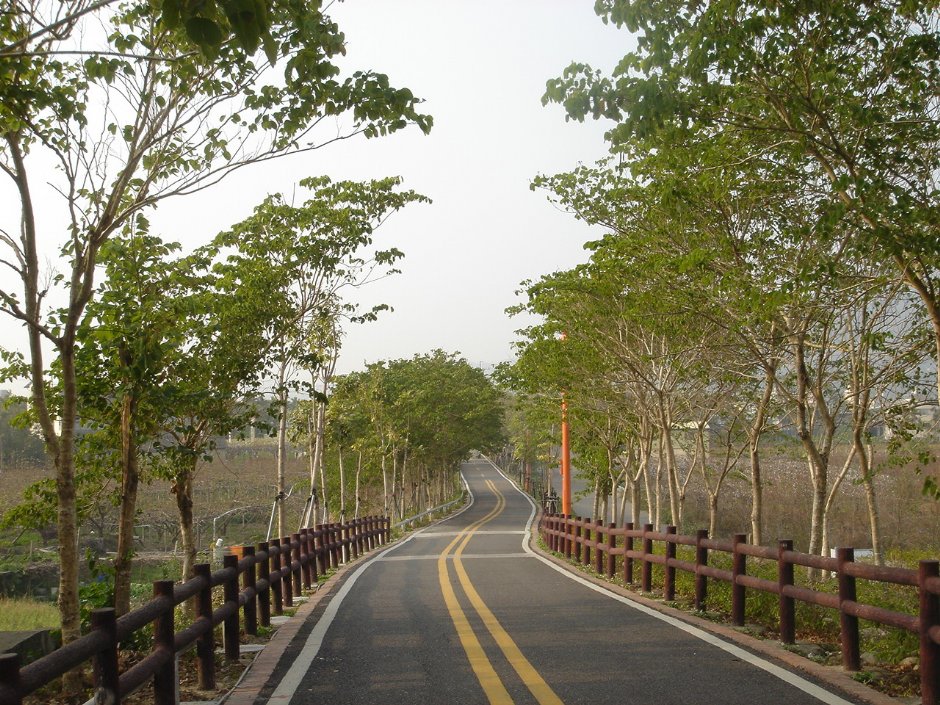 綠意叢生的自行車道 攝影：陳美吟