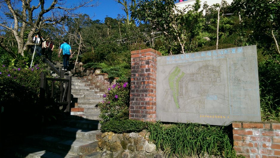 台北找茶園 攝影：Eva隨手拍