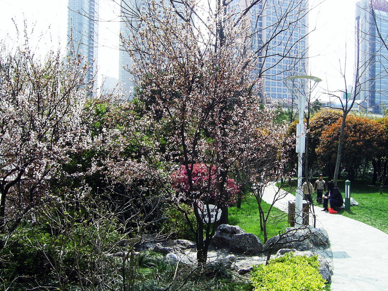 靜安公園-滿園花開 攝影：陳李豪