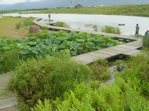 木棧道 攝影：劉雅妍