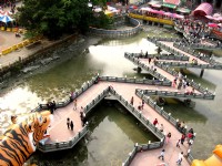 俯望曲橋<br/> 攝影：游雅雰