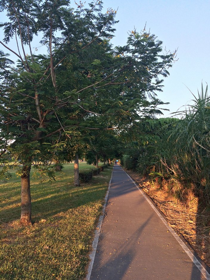 大漢溪河濱公園 攝影：Eva隨手拍