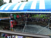 觀山牧區馬術表演<br/> 攝影：Eva隨手拍