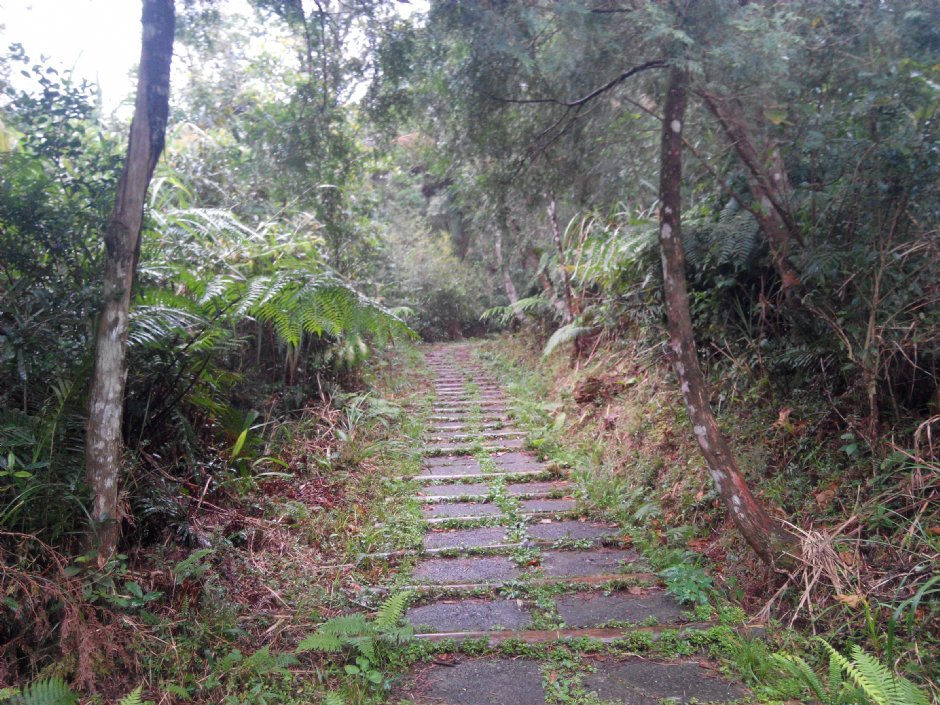 跑馬古道 攝影：Lu