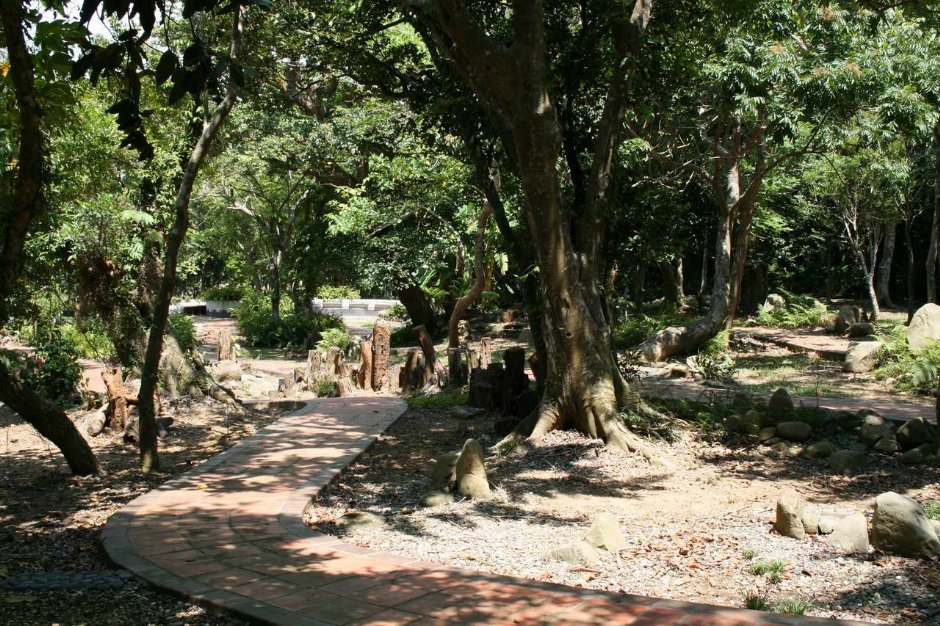 林蔭下的步道 攝影：老山羊部落格