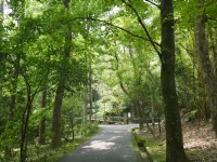 201605两蒋文化园区<br/> 摄影：旅遊王攝影組