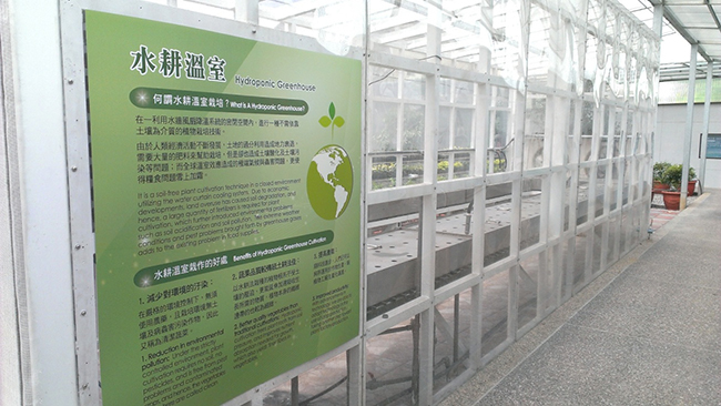 水凝膠水耕溫室 攝影：虹泰水凝膠世界