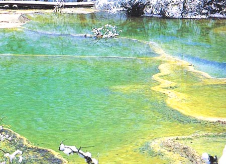 多彩多姿的鈣華池 攝影：四川旅遊信息網