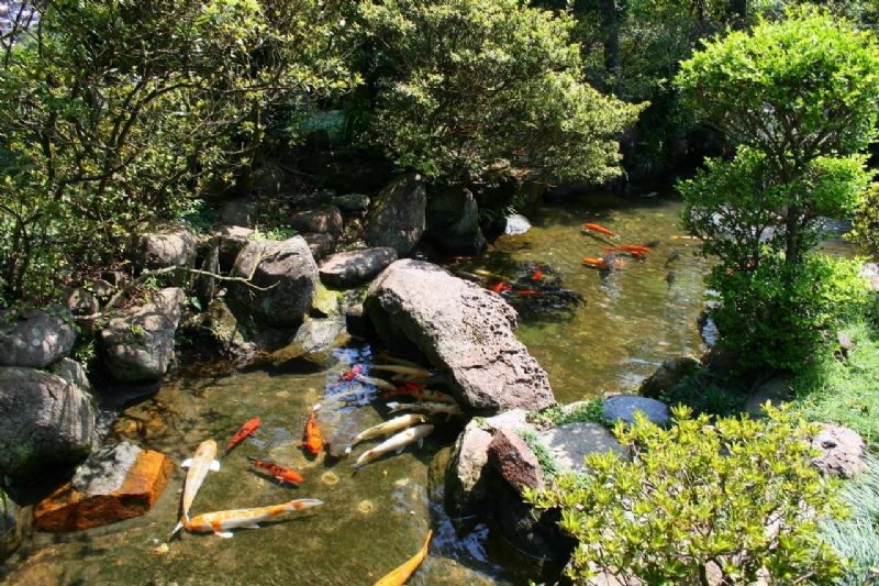 太子賓館錦鯉池 攝影：老山羊部落格