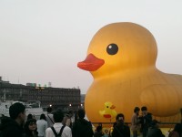 基隆港曾於2014年展出黃色小鴨<br/> 攝影：Eva隨手拍