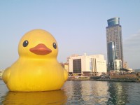 基隆港曾於2014年展出黃色小鴨<br/> 攝影：Eva隨手拍