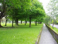 安農溪自行車道<br/> 攝影：Eva隨手拍