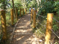 森林浴步道<br/> 攝影：鄭瑄頤