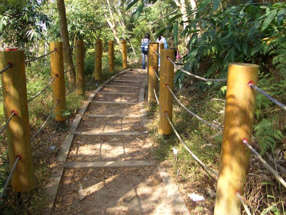 森林浴步道 攝影：鄭瑄頤