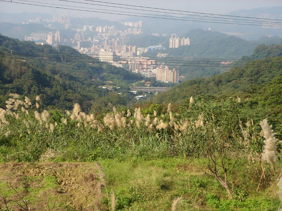 貓空鳥瞰台北市 攝影：余燕鳳