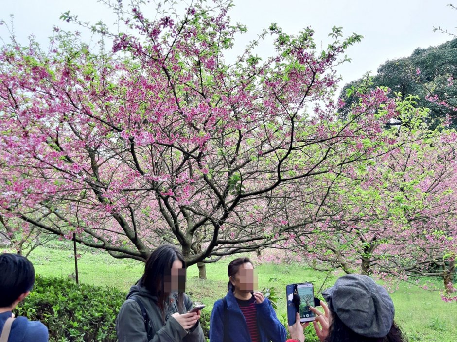 淡水天元宮 攝影：娥
