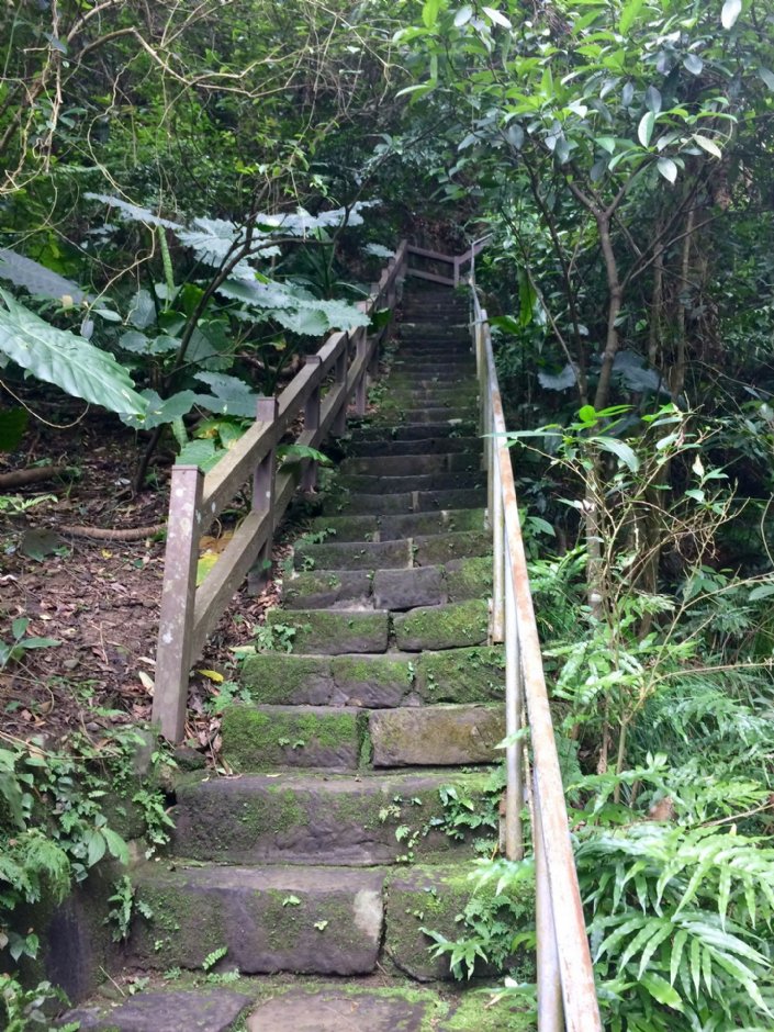 富陽自然生態公園 攝影：Eva隨手拍