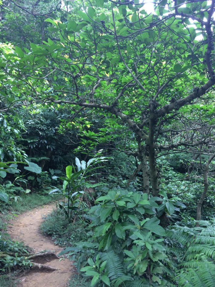 富陽自然生態公園 攝影：Eva隨手拍