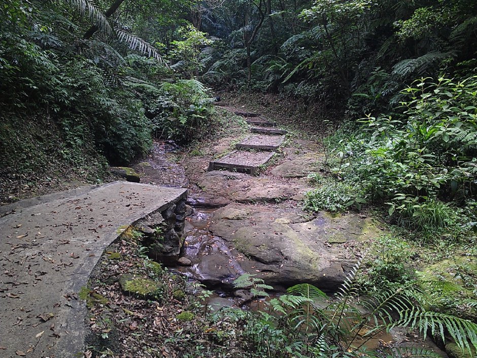 富民親水公園 攝影：Eva隨手拍
