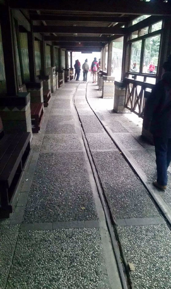 烏來觀光台車 攝影：Eva隨手拍