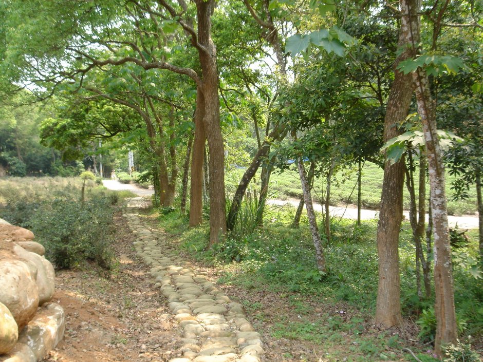 石坑崀 攝影：陳美吟